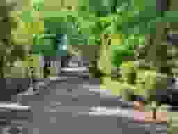 心地よい風の抜ける参道