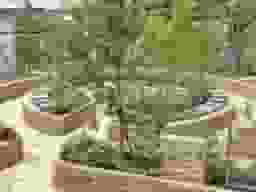 苑内風景