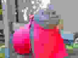 妙栄寺