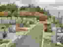 唐熊霊苑