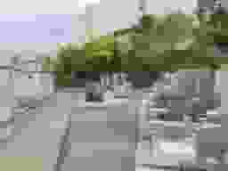 唐熊霊苑