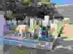 郡家西墓地