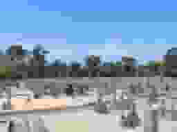 服部徳風墓地