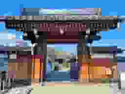 善福寺 緑樹の郷