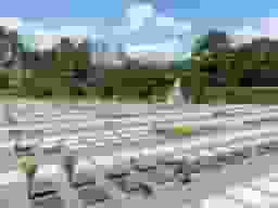 枚方紫峰霊苑