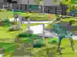 潮音寺