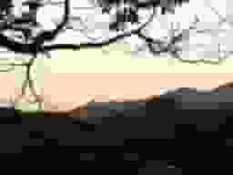 横須賀ヒルズ樹木葬ふじみ