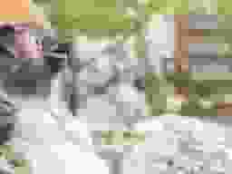 玄珊墓苑