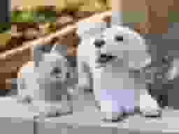メモリアルパークWith大町