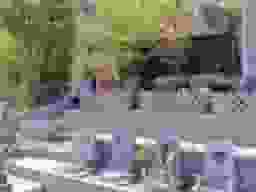 筆影苑
