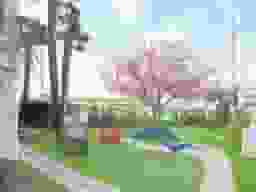 平塚四之宮霊園