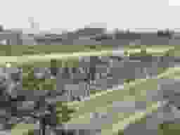 霊園風景
