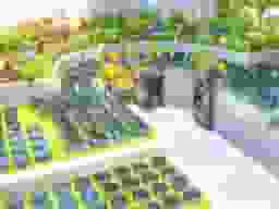 樹木葬区画