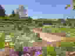 自然葬エリア風景