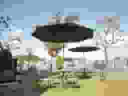 園内風景