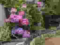 GARDEN'S倉敷