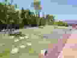 エンゼルパーク上田