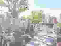365日、いつお参りしても清掃が行き届いています