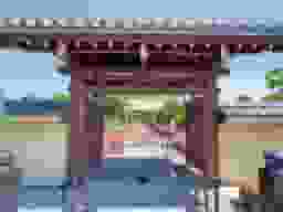 野田樹木葬墓地