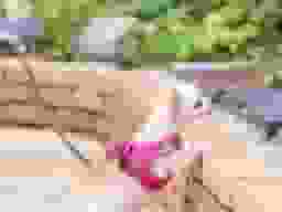 いずれの区画もペットさんと一緒に入れます