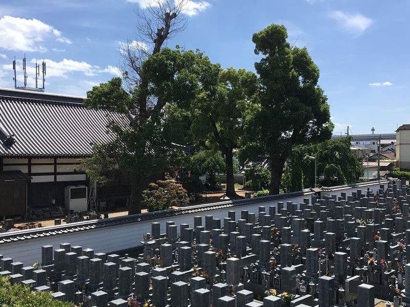 新常福寺霊園