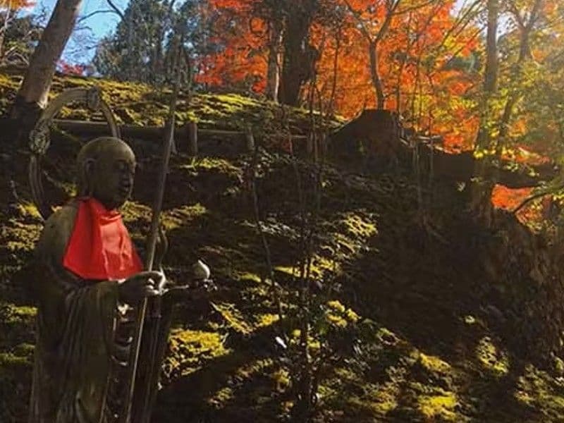 神峯山寺 開成院霊園