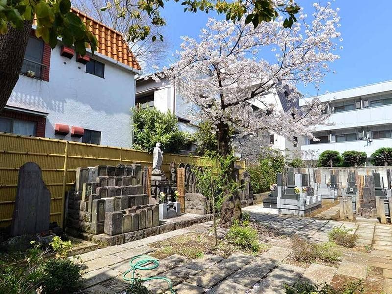 光照寺