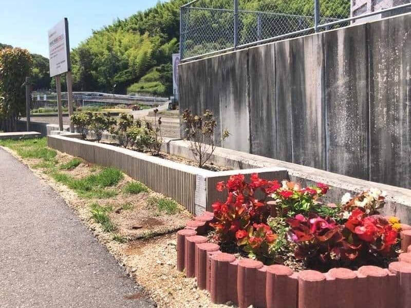ステンドグラスとオーク（樫の木）の樹木葬「こもれび」