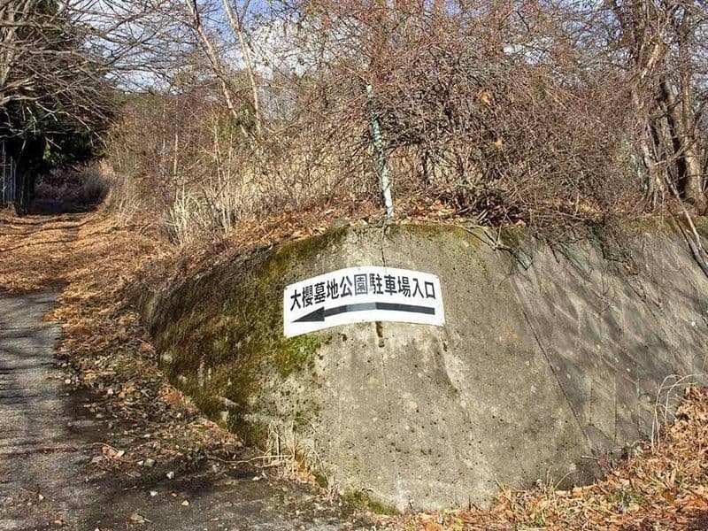 長和町大桜墓地公園