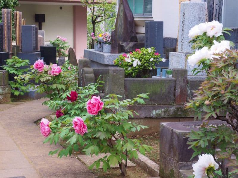 聖輪寺墓苑