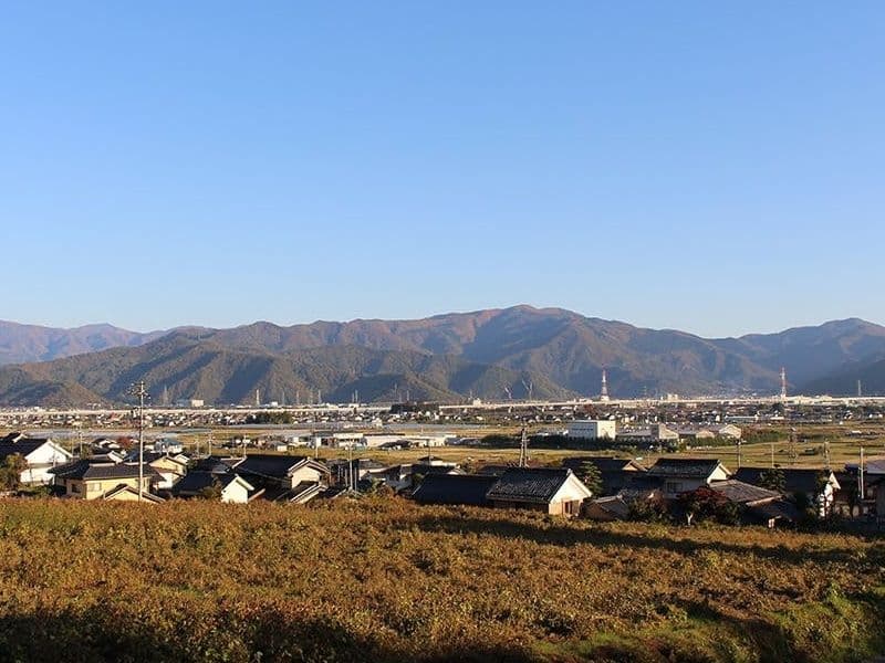 真蔵寺墓地