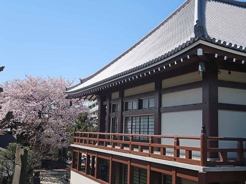 谷中樹木葬「円庭の陽」・永代供養付き墓所