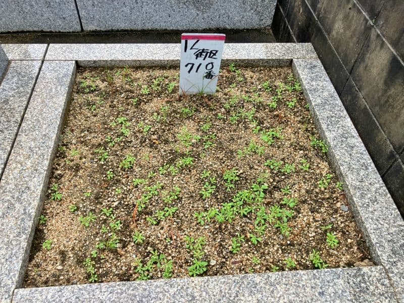 日下墓地