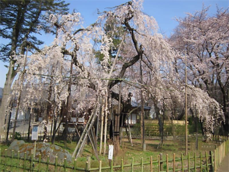 弘法寺