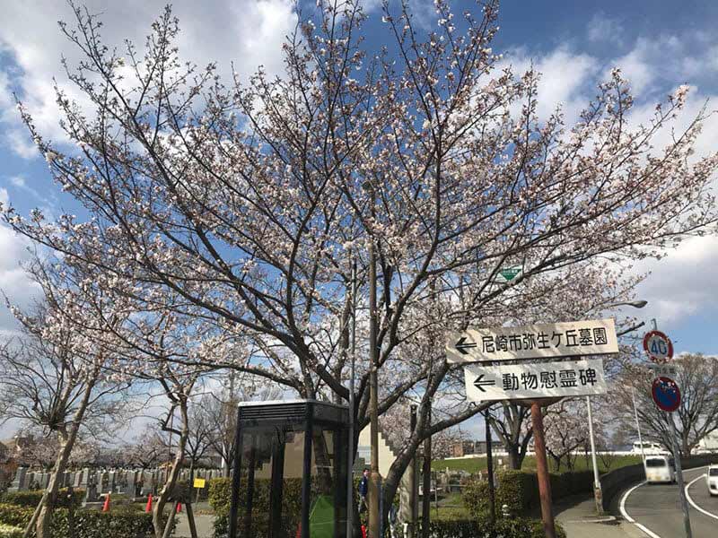 尼崎市営 弥生ケ丘墓園