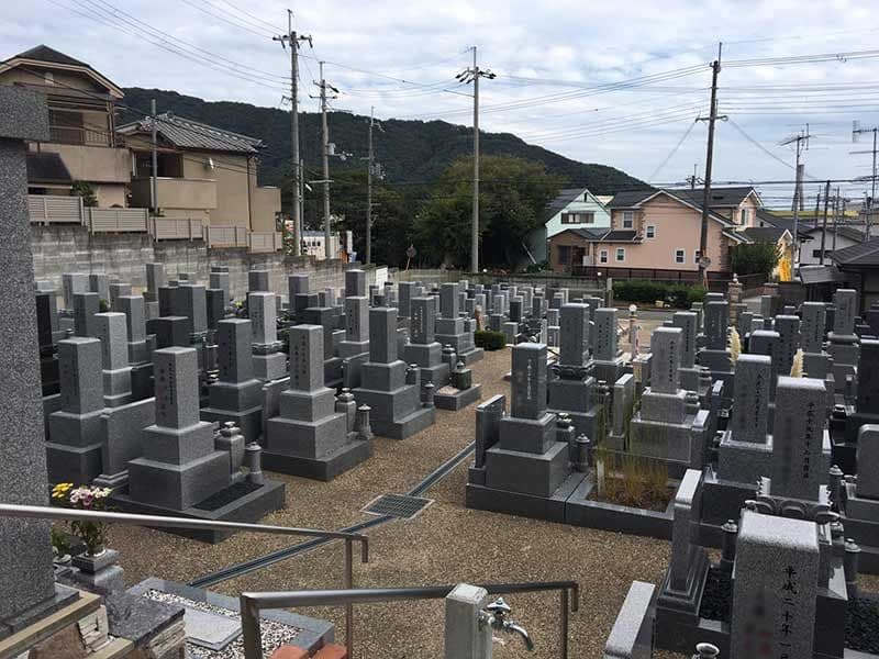 サンライズドリーム萩