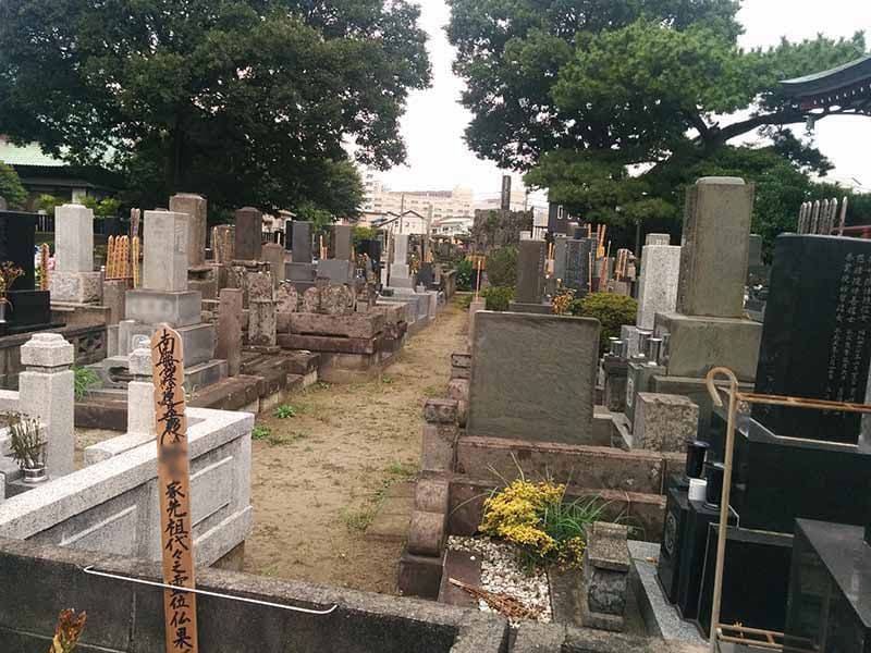 安立寺　苑内には手入れされた植栽