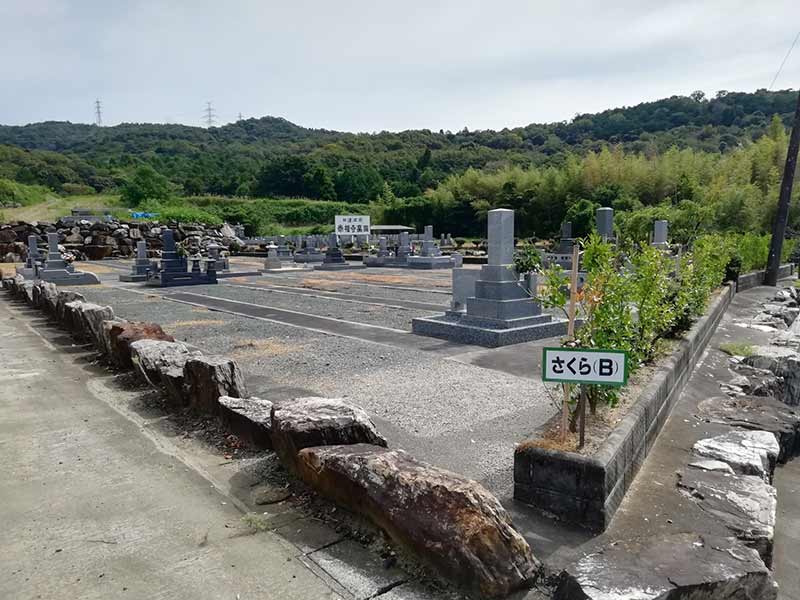 吉祥山緑地墓苑のさくら（B）