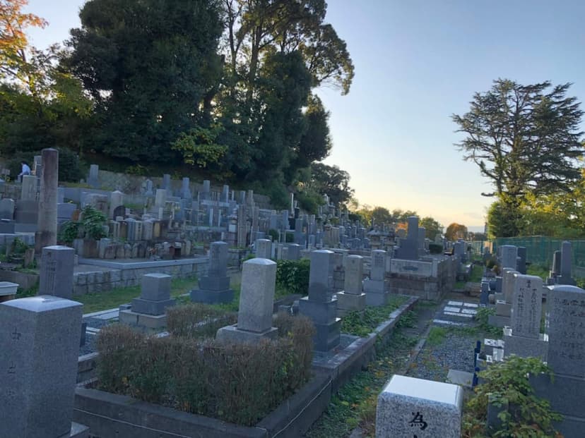 京都市営 地蔵山墓地の全体像