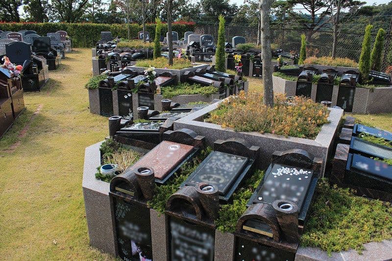 ペットと一緒に眠れる樹木葬型「ハナミズキ」