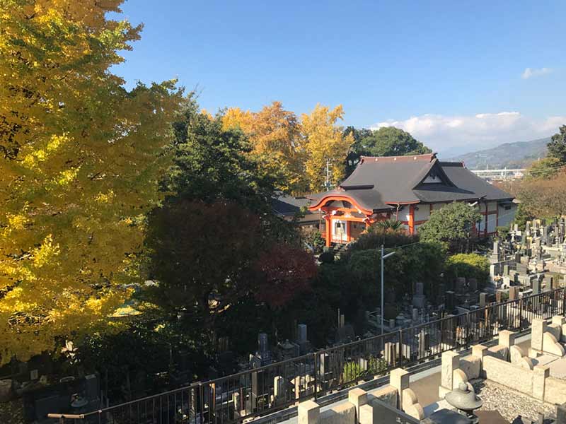 安樂院 のうこつぼ