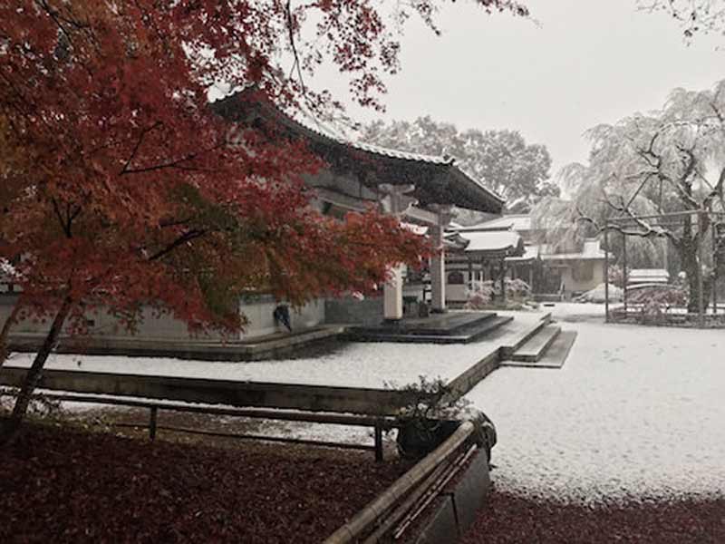 心源院 のうこつぼ　雪景色の境内