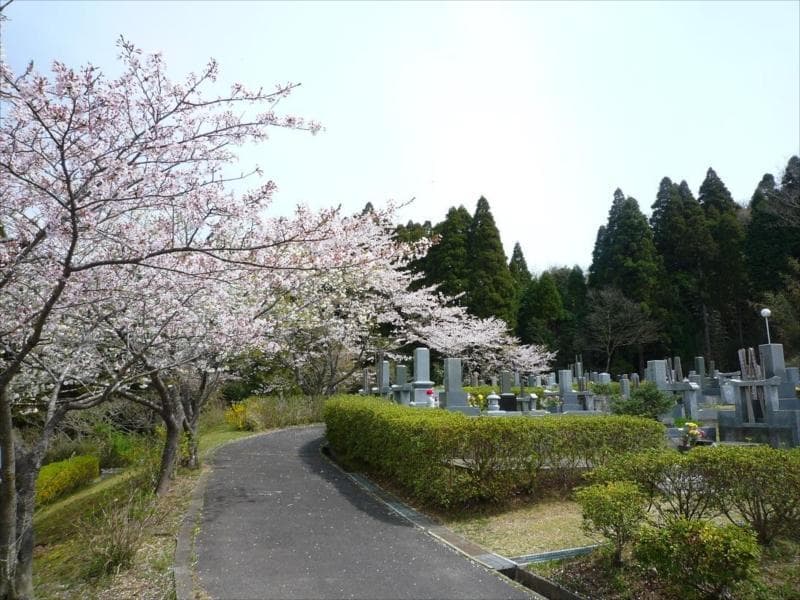 一宮町営 宮の森霊園　桜と木に囲まれた園内