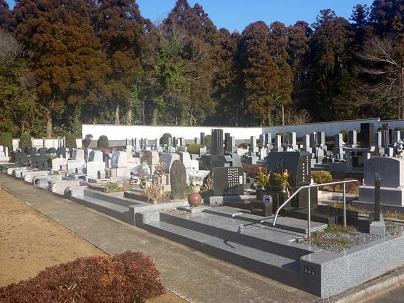 園内のどこでも日当たり良好