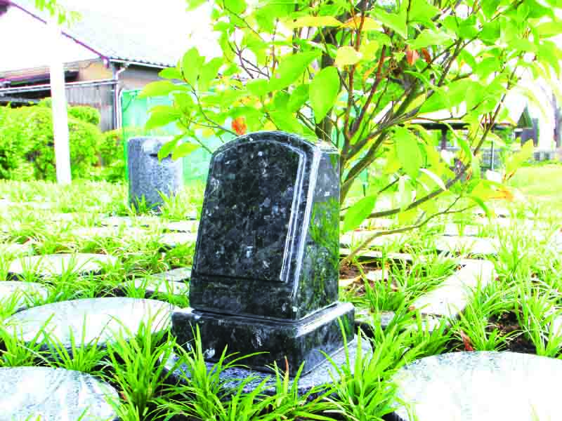 爽やかな緑に囲まれた樹木葬