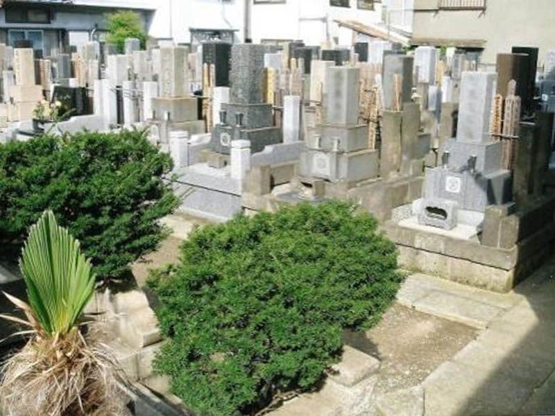専念寺　和型墓石
