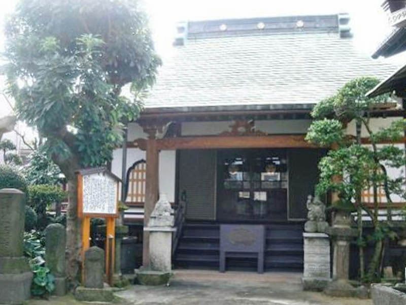 専念寺　日の当たる本堂