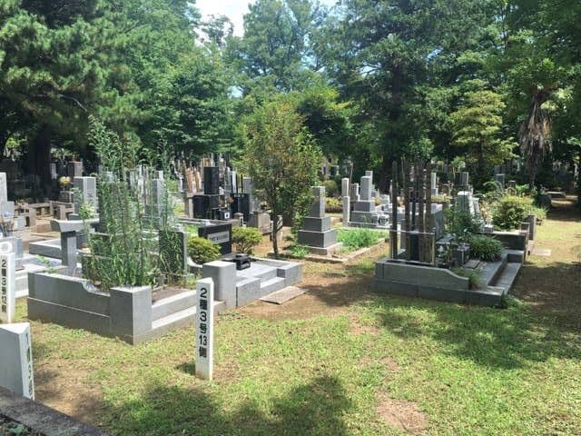 都立 雑司ヶ谷霊園　自然の中にある明るい墓域