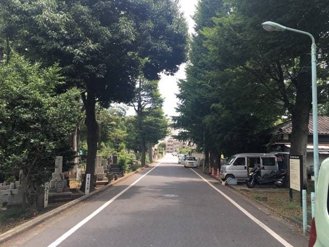 都立 雑司ヶ谷霊園　霊園すぐ横の道