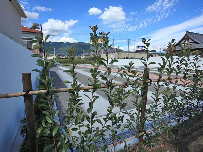 上阿原墓苑